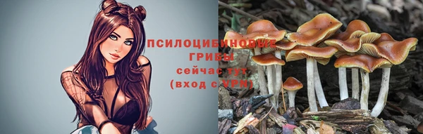 прущие крисы Красноперекопск