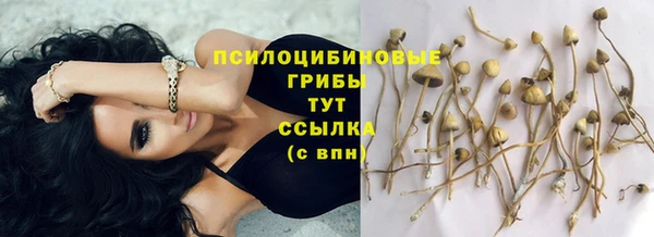стаф Краснослободск