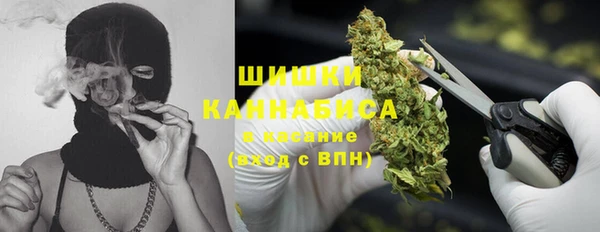 стаф Краснослободск