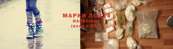 стаф Краснослободск
