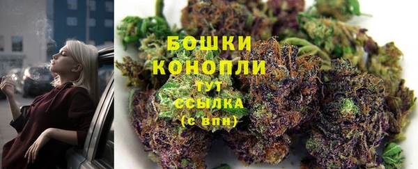 прущие крисы Красноперекопск