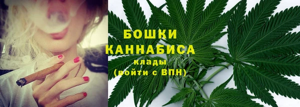 стаф Краснослободск