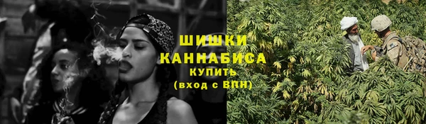 стаф Краснослободск
