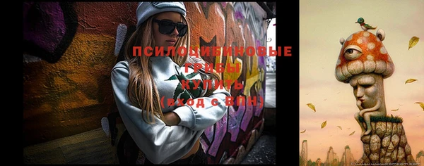 прущие крисы Красноперекопск