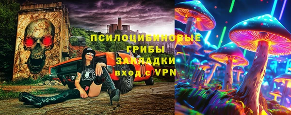 стаф Краснослободск