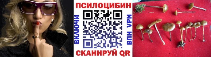 Купить  Тутаев  Галлюциногенные грибы GOLDEN TEACHER 